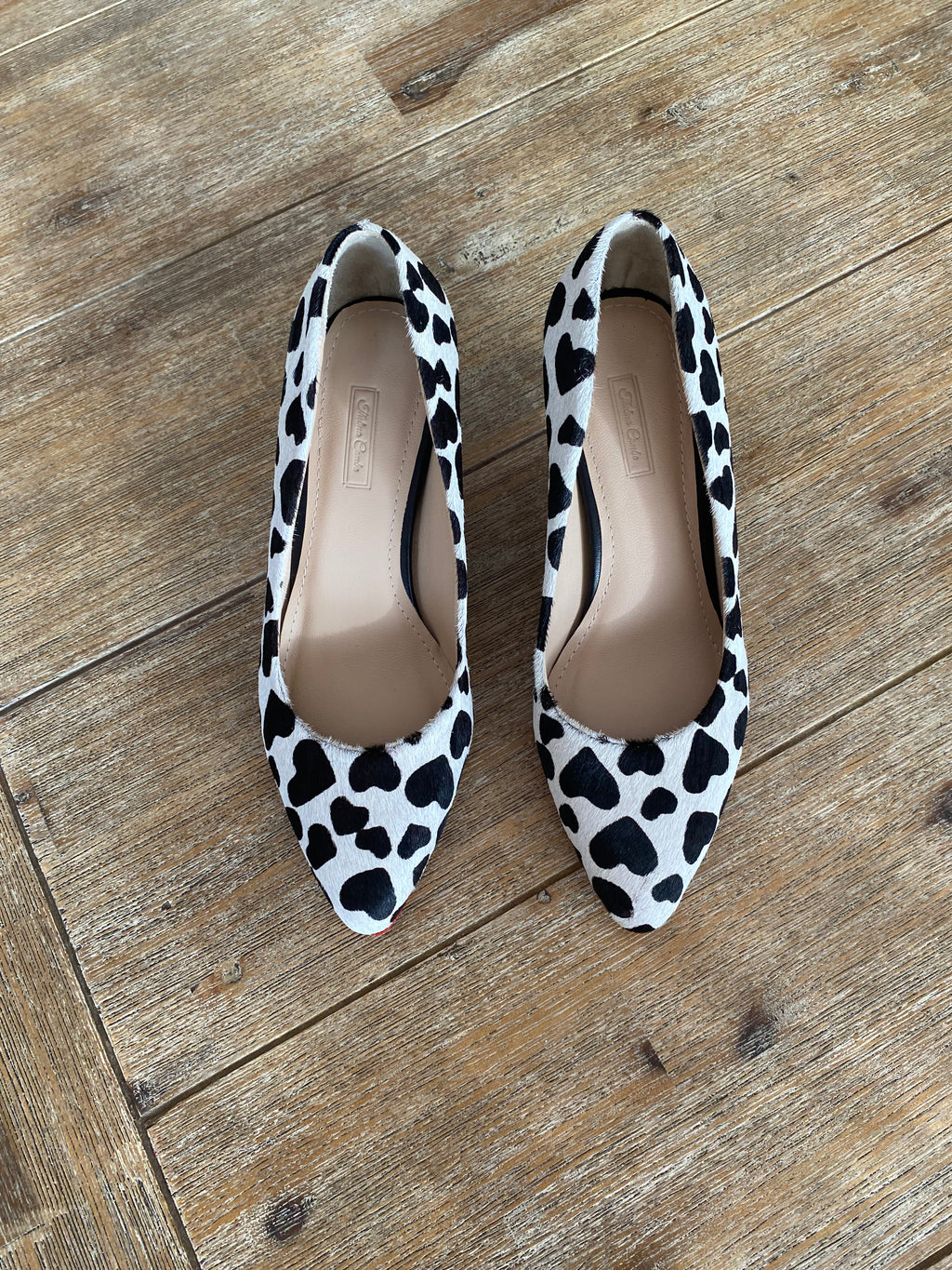 Zapato de Vestir Corazón