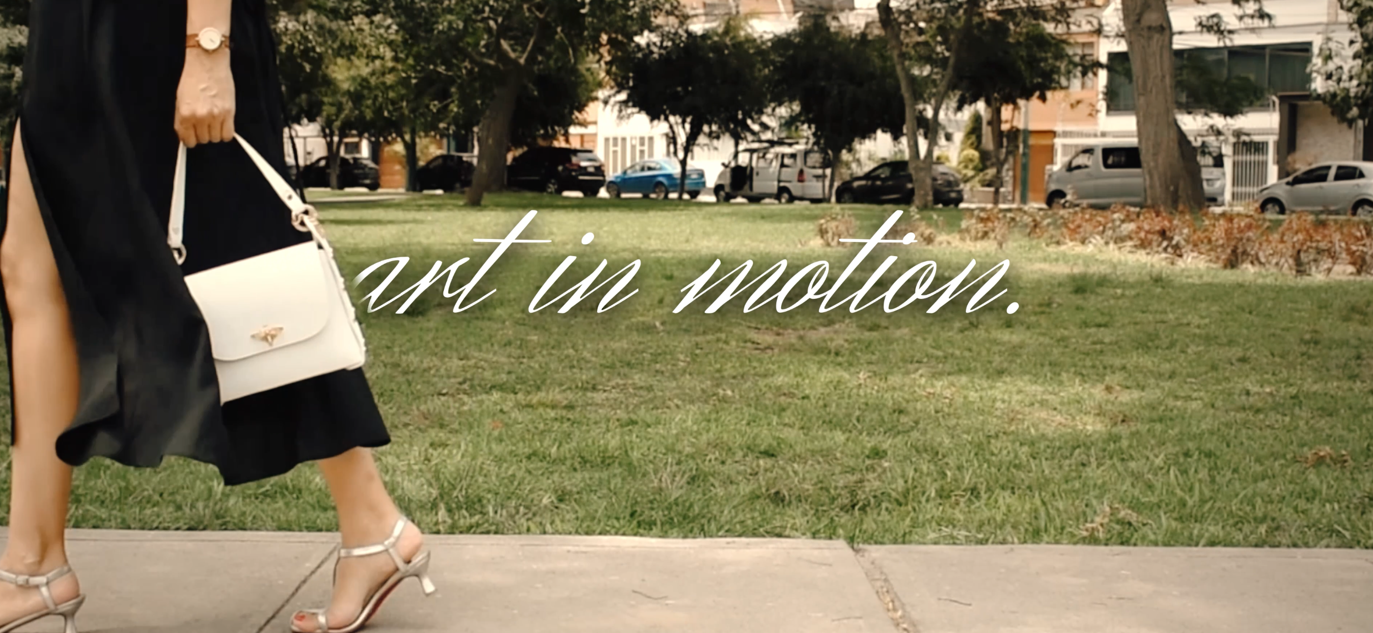Cargar video: 